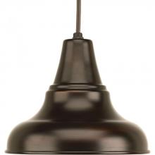 Progress P5535-20 - District Collection One-Light Medium Hanging Lantern