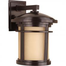 Progress P6085-2030K9 - Wish Collection One-Light Medium LED Wall Lantern