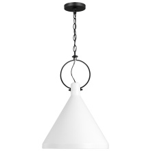 Visual Comfort & Co. Studio Collection 6684901EN3-115 - Lyon Medium One Light Pendant