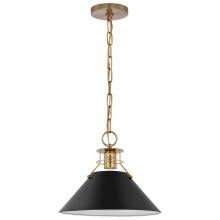 Nuvo 60/7523 - Outpost; 1 Light; Medium Pendant; Matte Black with Burnished Brass